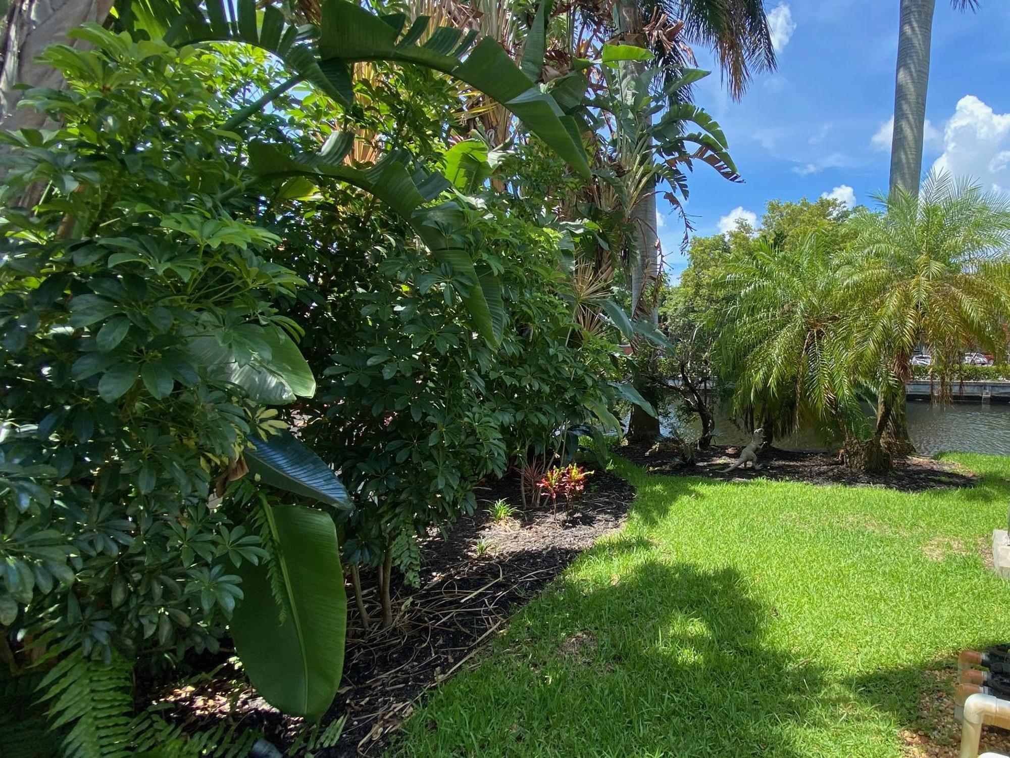 Riverbank Guesthouse Wilton Manors Exterior photo